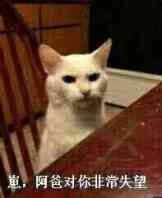 QQ图片20160404204649.jpg