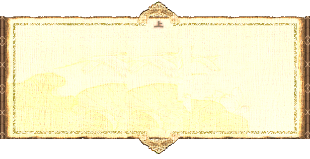 xx (1).png