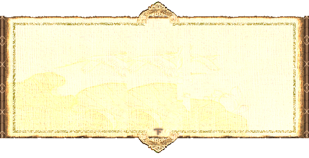 xx (2).png