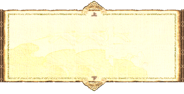 xx (3).png