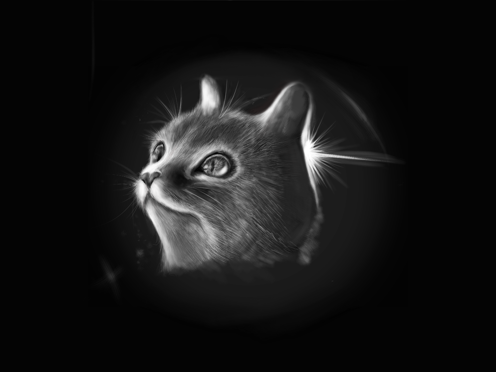artflow_201606271544.png