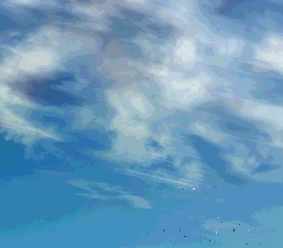 23.gif