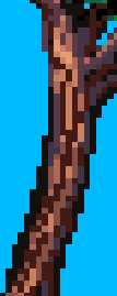12.png