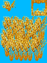 麦子.png