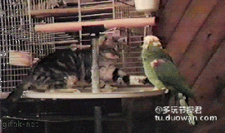 1e21b3044afed14b48b232e470bb22ad.gif