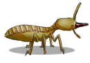 hchongrt_d1.png