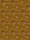 白玉楼樱花河地面01.png