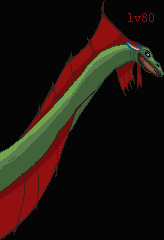 梁龙.png
