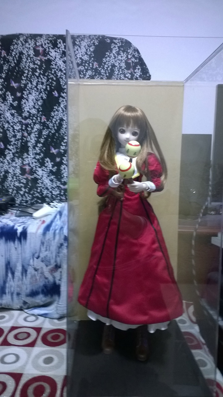 WP_20161211_001.jpg