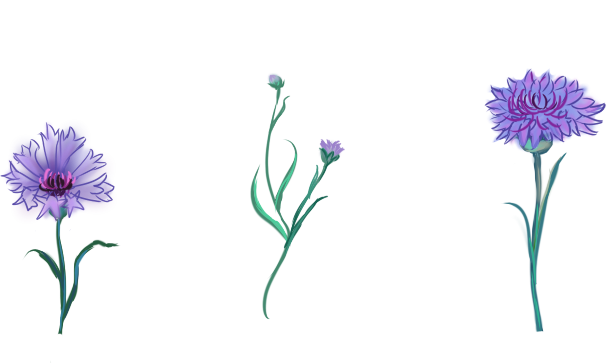02.png