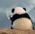 QQ图片20170218221042.jpg