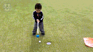 135155a13-0.gif