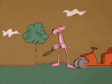 135155d06-14.gif