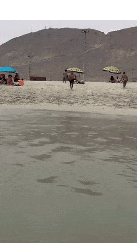 1351551313-16.gif