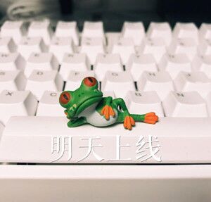 QQ图片20170602093311.jpg