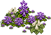 植物.png