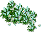 植物2.png