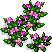 植物4.png