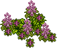 植物3.png
