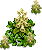 植物5.png