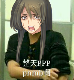 PPP，pnmb啊.png
