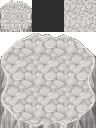 水