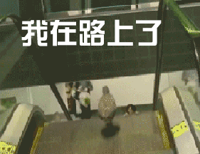 QQ图片20170802110920.gif
