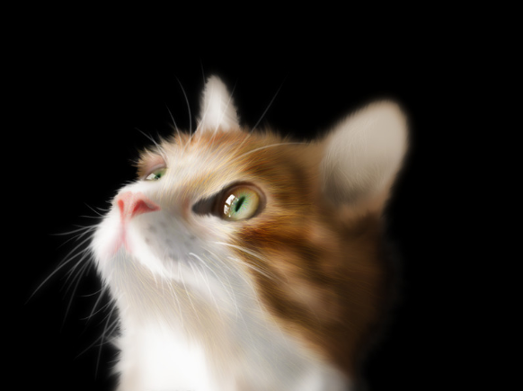 KJV}XDBFP$F_OYYADQ]D$MY.png