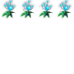 草药-延年果[s4].png