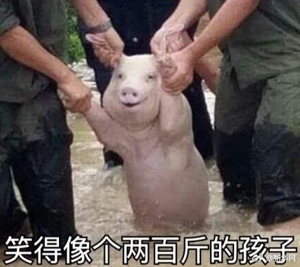 a782e4ably1fiw1h5q2uuj20c50asjy8.jpg