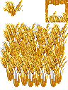 麦子01.png