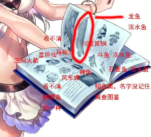 02.jpg