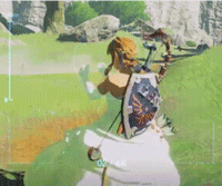 婚纱林克slim.gif