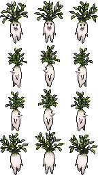 $萝卜根.png