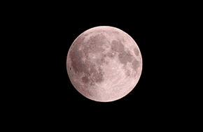 u=2523711578,2639627144&amp;fm=11&amp;gp=0.gif
