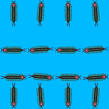 动物 蜈蚣 大.png
