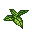 f苋菜（玉姑菜）.png
