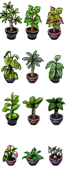 $花盆001.png