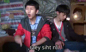 5.gif