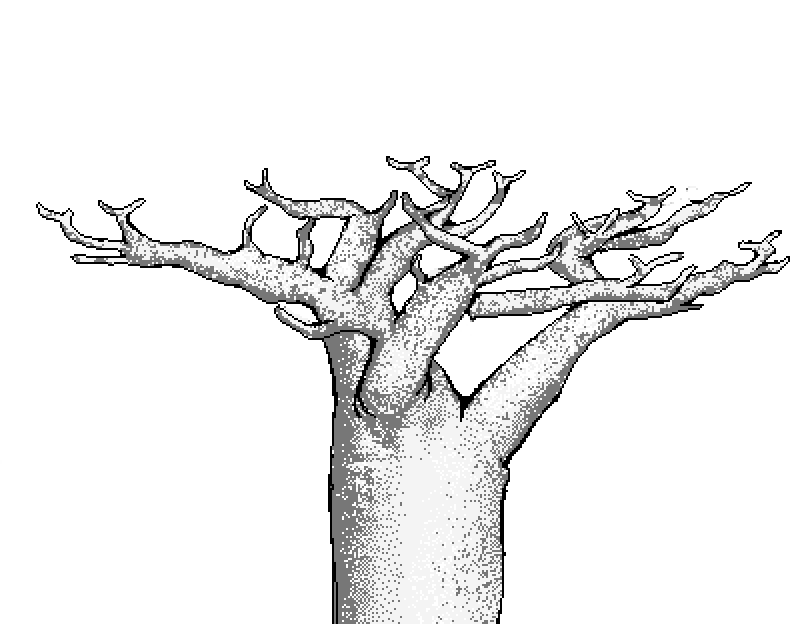 garden2.png