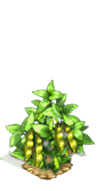 !Crops0.png