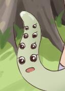 mayaru.jpg