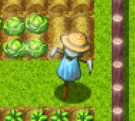 15.png