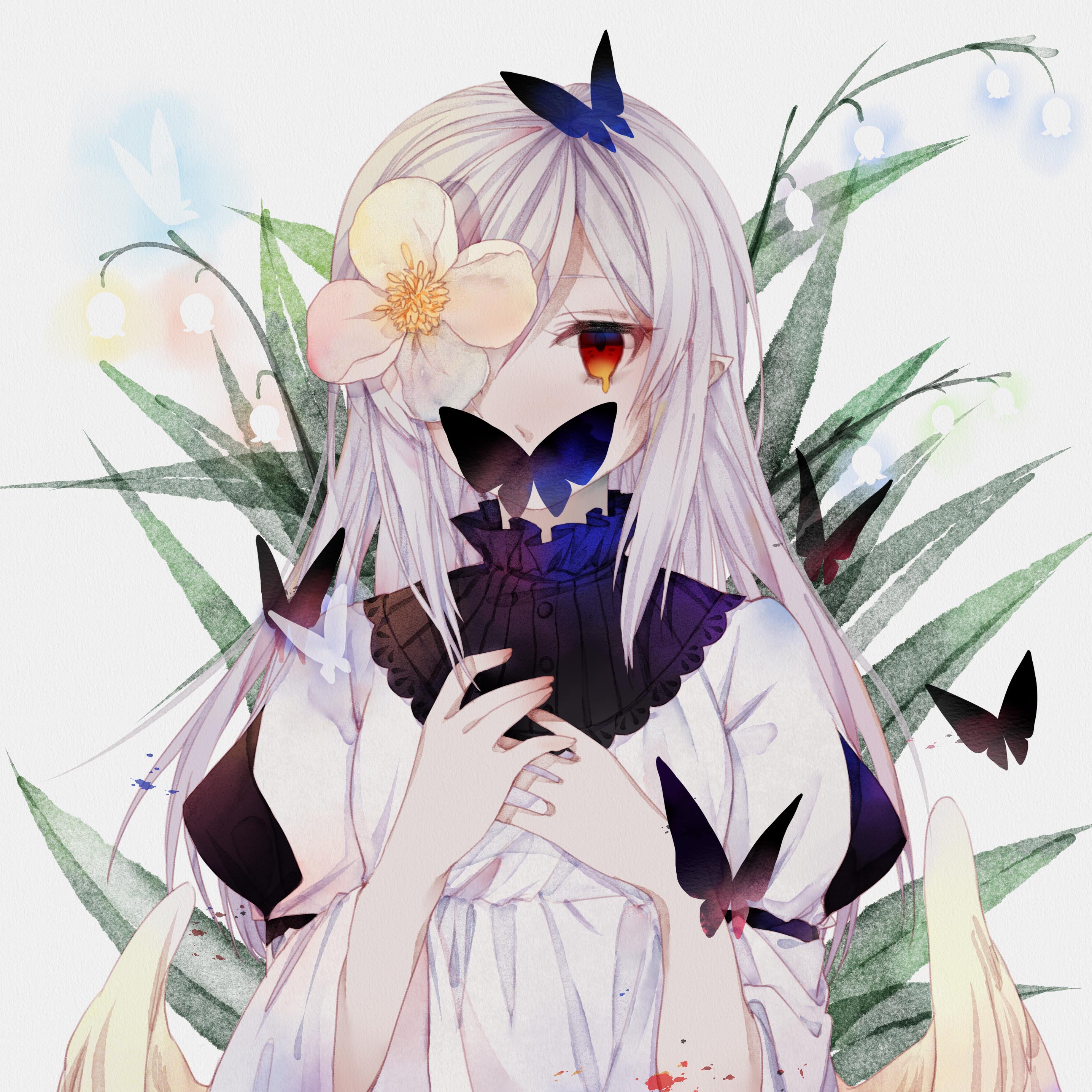 Haku2.jpg