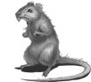 Rat_石化.png