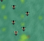 flyanut.png