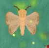 feifei.png