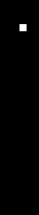 GIF5.gif
