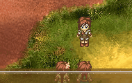 加入队伍.gif