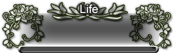 Layout.png